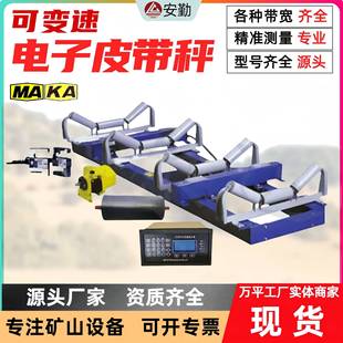 煤矿专用设备皮带秤 动态称重技术 防爆型电子皮带秤ICS 17B型