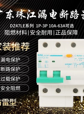 广东珠江漏电保护器家用空气开关带断路器2P63A32a 1P+N漏保dz47