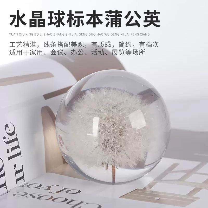 创意树脂鲜花水晶球标本永生花