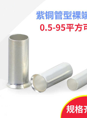 紫铜EN6018 10/16/25/35/50/70/95-18 25欧式管型针型接线裸端子