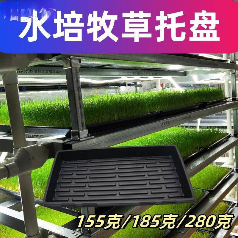 水培牧草托盘设备育苗平穴黑色塑料盆浸泡长方形无土栽培种植芽菜