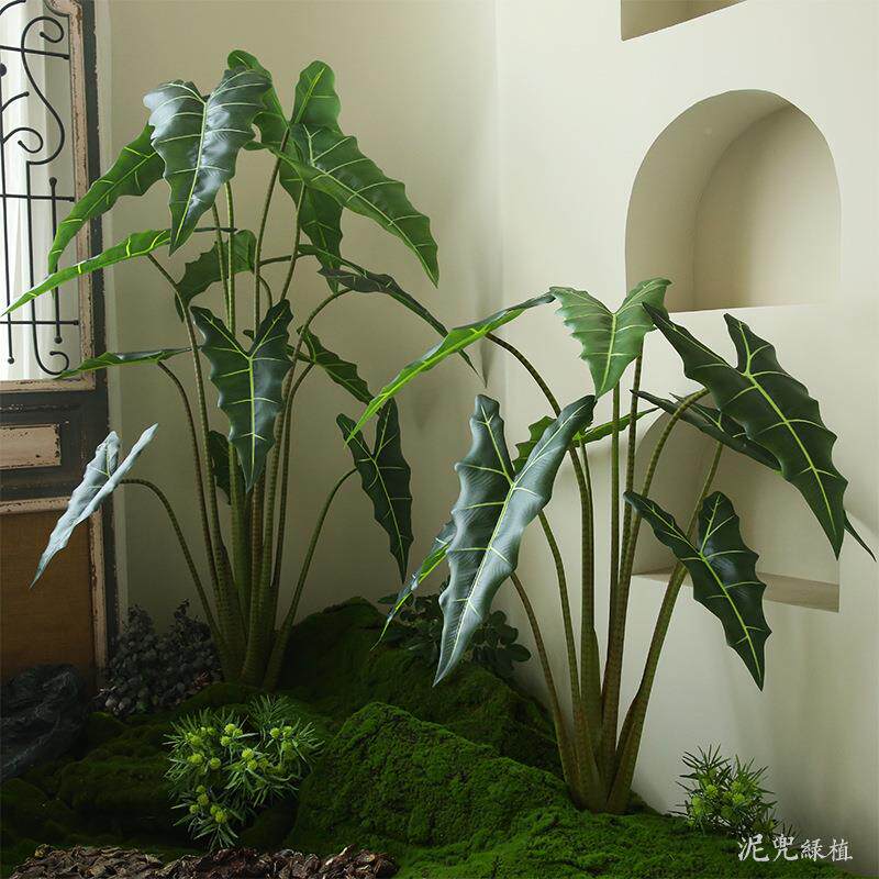 橱仿绿植萨丽安海芋盆景室内大软装装饰真盆栽景观HYPJ001型窗陈