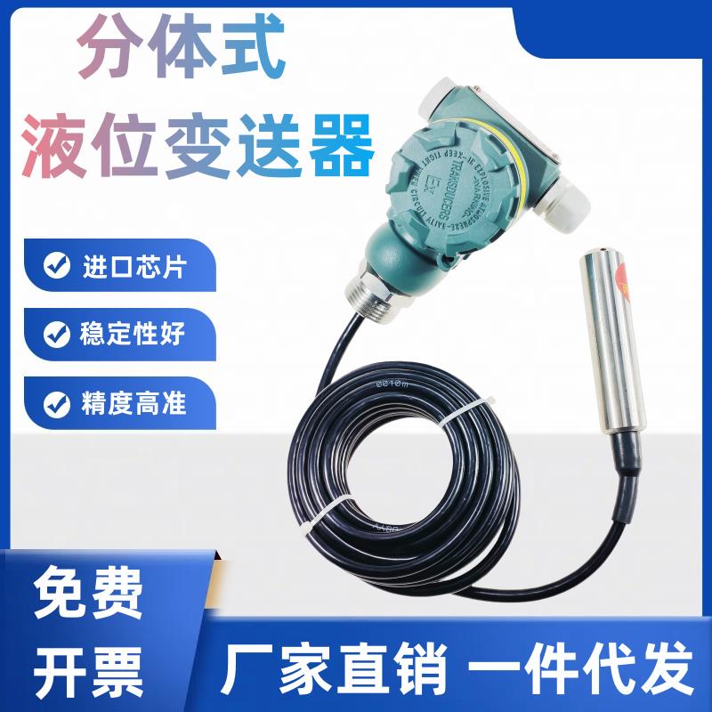 分体式投入式液位变送器显示水位传感器一体化静压式液位计4-20MA
