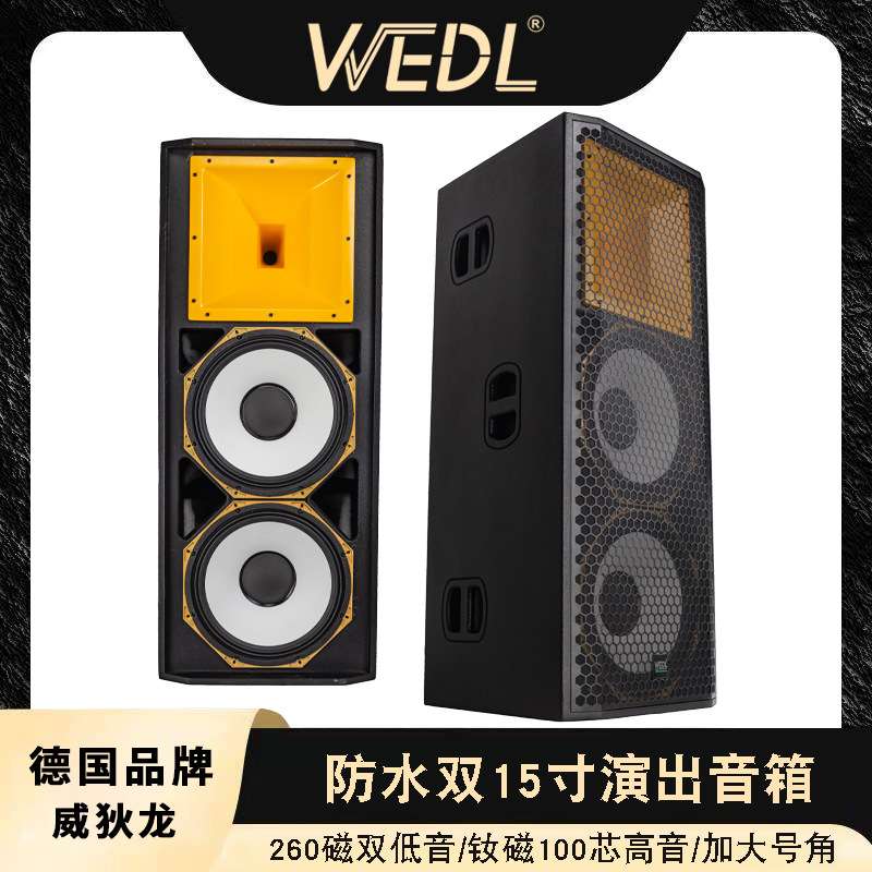 专业双15寸音箱户外防水舞台演出婚庆钕磁喇叭带轮远程大功率音响