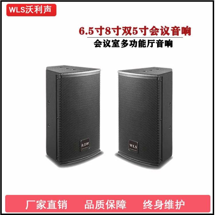 8寸会议音箱6.5寸壁挂舞蹈室全频音响双5寸KTV唱歌音响