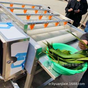 连续式粽叶清洗机小型洗芦苇叶的机器设备商用琵琶叶毛棍清洗机