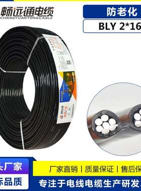 铝电缆BLY2*16平方防老化耐候铝电线国标保检工程电缆