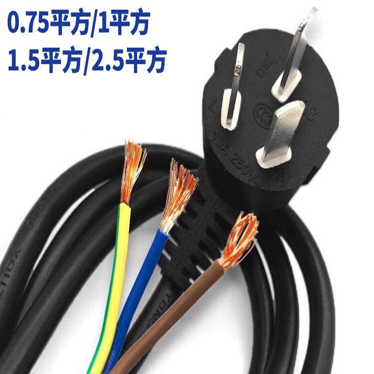 国标纯铜2/3芯电源线三脚插头0.75/1/1.5/2.5平方10A/16A插头带线