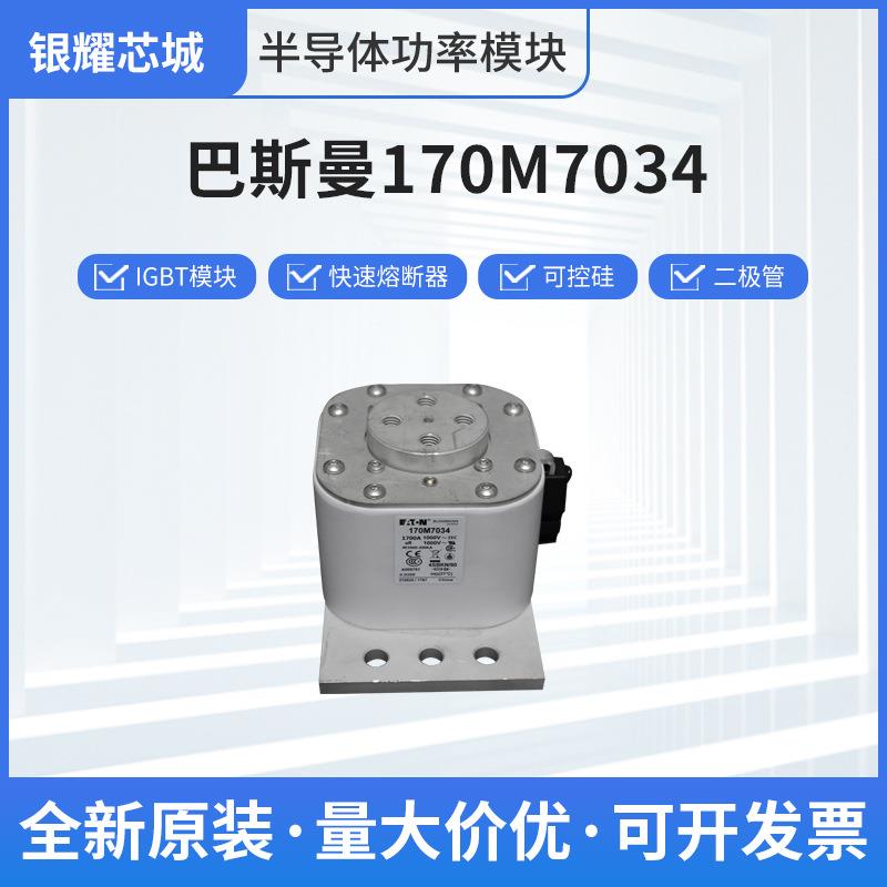 巴斯曼170M7034限流式熔断器