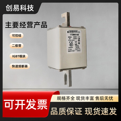 170M5213 170M5214 170M5215 170M5216 170M5217 170M5218熔断器