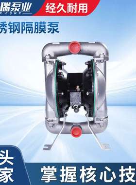 凯盟瑞不锈钢316L隔膜泵 66617B-344-C DN40不锈钢304气动隔膜泵