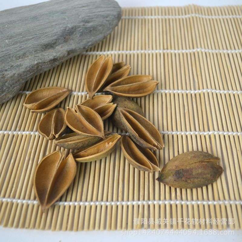 干花工艺品木莲花荷花原色材料梧桐壳泡桐壳干花材料