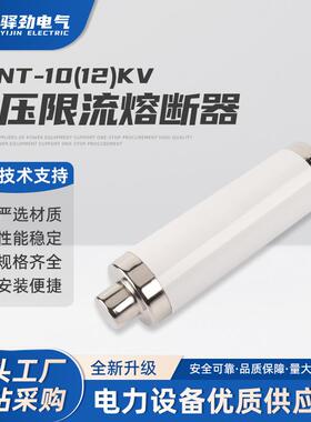 XRNT-10(12)KV50-125A高压限流熔断器保险管高压限流熔断器互感器
