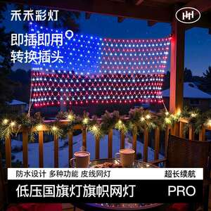 皮线24V低压国旗造型灯外贸出口高品质彩色旗帜灯工厂led灯
