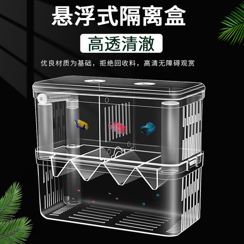 鱼缸隔离盒孵化盒孔雀鱼凤尾繁殖