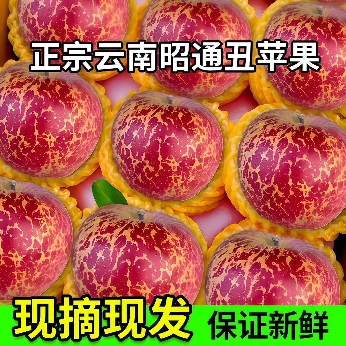 正宗丑苹果冰糖心大凉山苹果新鲜水果当季四川盐源红富士洛川果A