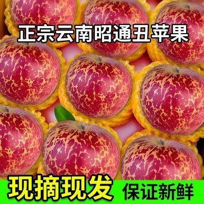 正宗丑苹果冰糖心大凉山苹果新鲜水果当季四川盐源红富士洛川果A