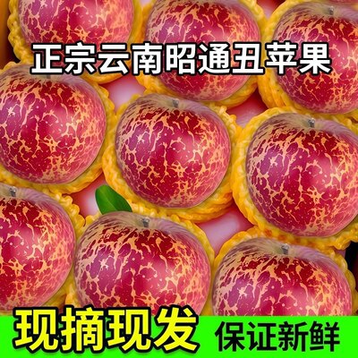 2025新鲜大凉山丑苹果9斤冰糖心苹果水果当季整箱盐源四川红富A