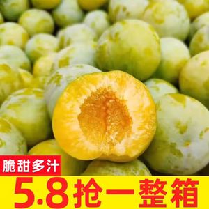 5斤四川青脆脱骨李鲜果李子新鲜水果当季整箱孕妇3月早熟甜蜂李糖