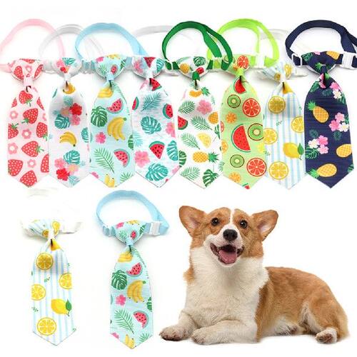 极速10pcs Pet Supply Cat Dog TiAe justable Neck Fashion Frui