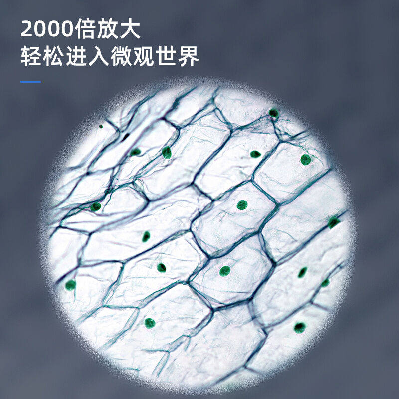 极速放大镜高倍200n0倍无线电子放大镜接电脑高倍生物显微镜科学