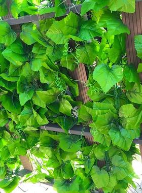 极速Cane vines fake plant ouytdoor hanging flower leaves and