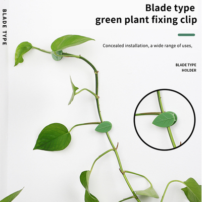 极速10aPCS Plant Stent  Plant Climbing Wall Fixture Rattan V