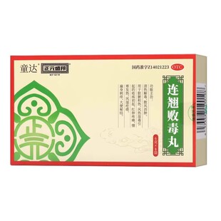 正元盛邦 连翘败毒丸6g*8袋