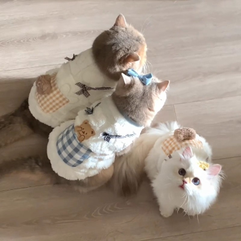 秋冬毛绒加厚猫狗小熊马甲
