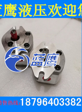 极速P101/P102/P104/P105/P106/P107/P108/P109 RPU01GT齿轮泵 12