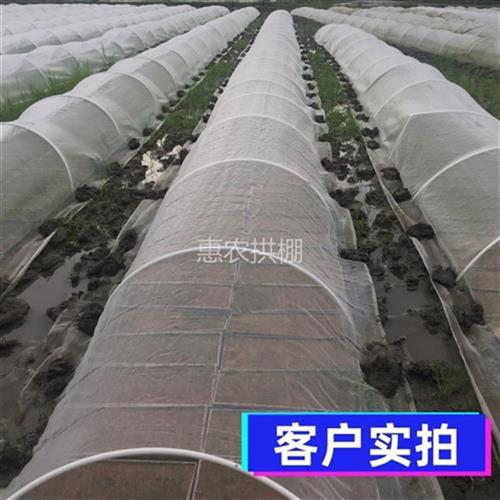 极速菜棚保温棚花棚拱玻q纤杆q农用小大拱棚支架纤维棒U卷玻璃钢