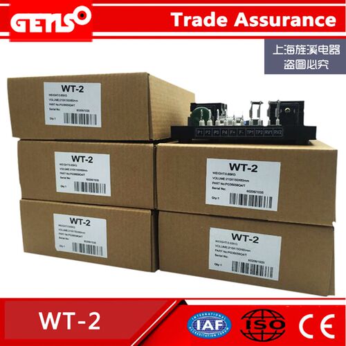 新品英格WT-2无刷发电机avr自动电压调节器 WMT-3/3A稳压器励磁调