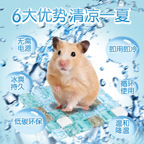 新品仓鼠夏天降温用品消暑散w热板宠物专用冰床龙猫兔子凉席垫避