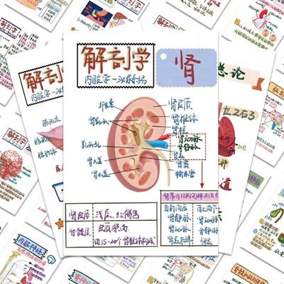 64张人体解剖医学贴纸医学生笔记diy装饰贴画创意防水手机笔记本
