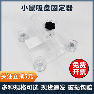 Tigergene小白鼠大鼠固定器带吸盘 小鼠腹部尾静脉注射固定器