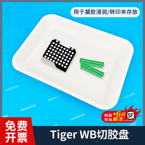 Tigergene WB专用切胶托盘方盒 电泳凝胶暂存盒 凝胶存放转印夹