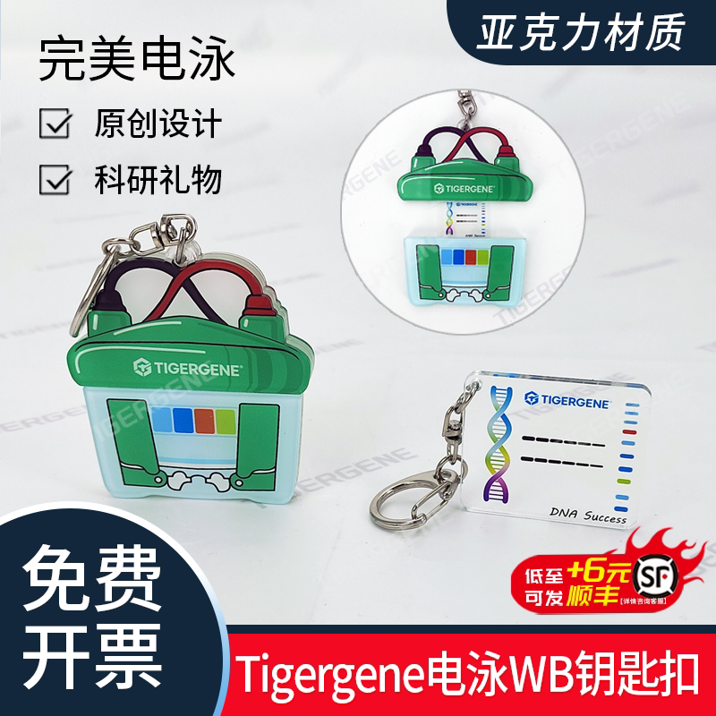 TIGERGENE电泳WB钥匙扣图片