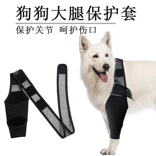 宠物腿部受损术后护腿保护套