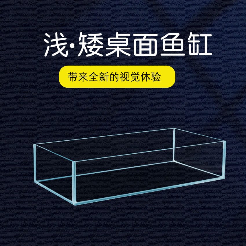 桌面金晶五线 线浅水缸超白玻璃金鱼缸迷你缸乌龟专用缸展示缸矮