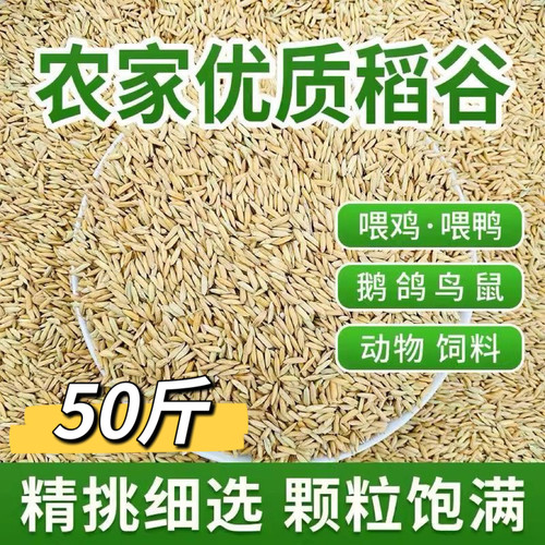 优质稻谷50斤精选长稻谷带壳喂鸡