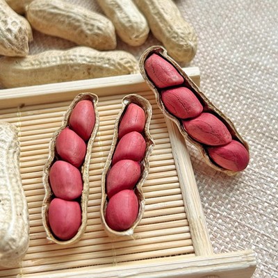 2024年生花生带壳晒干东北生