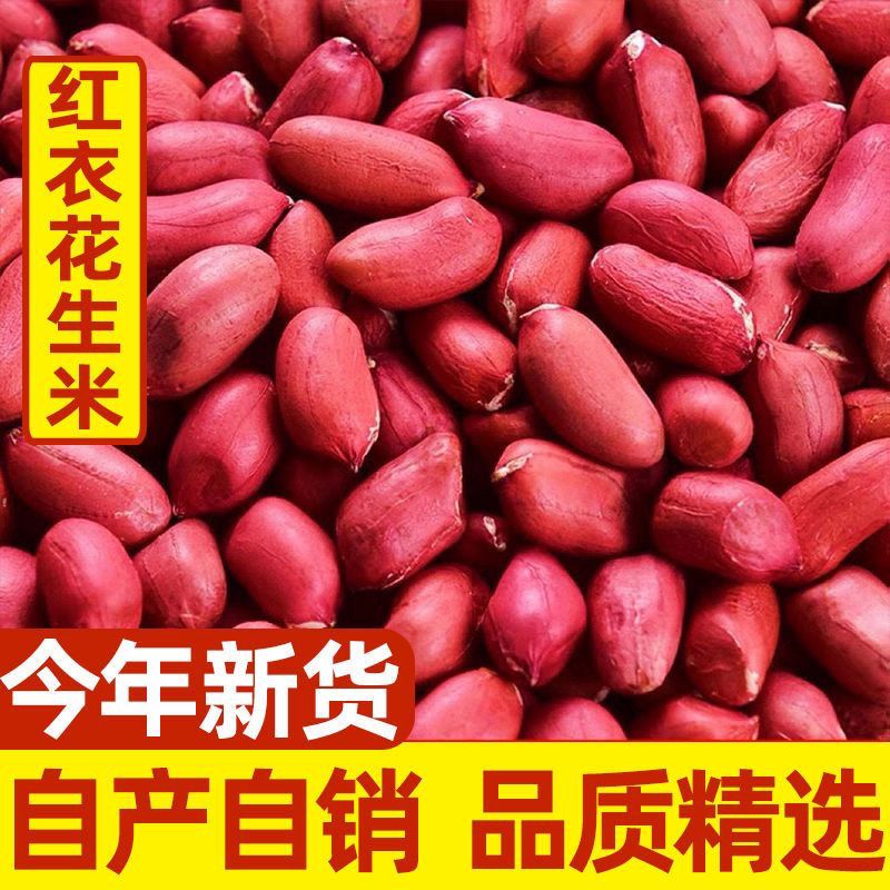 红皮花生米东北四粒红煮粥无壳花生米新货农家红衣花生米自然晒干