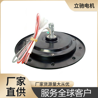 Fan lamp motor  Ceiling Fan Motor   DC brushless 24V 12V