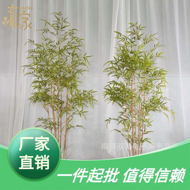 楼梯下造景草坪装饰摆件网红绿植日式庭院楼梯下的空间阳台玄关