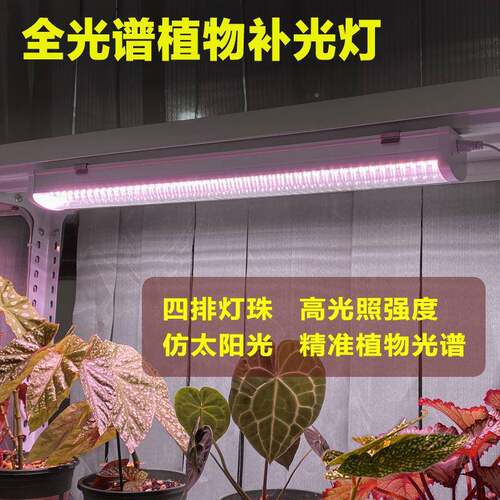 全光谱T20植育物灯灯管XIL苗生长四排LED室内家用花上色多肉补光