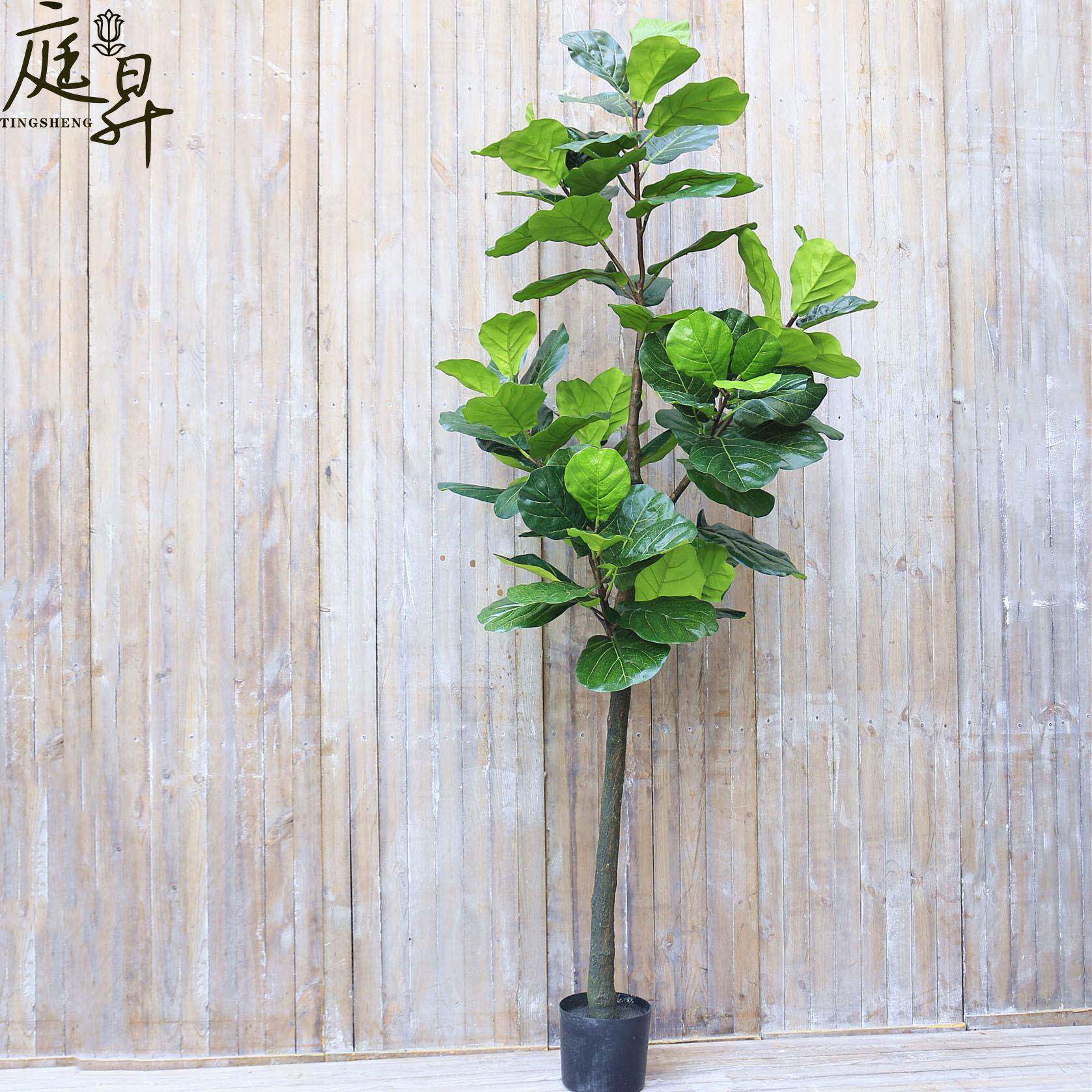 真琴叶榕盆栽TS-14大型北欧落地套绿假植物仿真色假仿树家居装摆