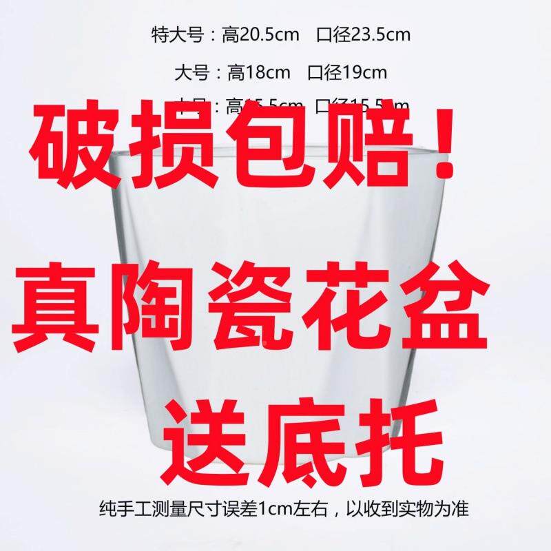 陶花盆大号号大带托盘JUV多肉花盆欧式特简约白色绿瓷萝好看