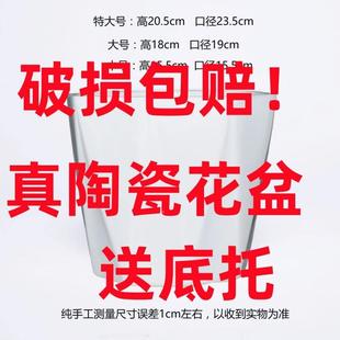 特简约白色绿瓷萝好看 陶花盆大号号大带托盘JUV多肉花盆欧式