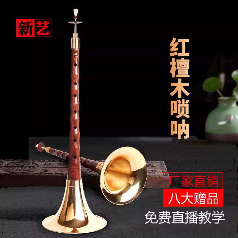 浅竺红檀唢呐乐器全套唢呐乐器初学者演奏型唢呐D调喇叭