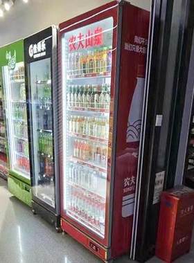 饮料冷藏展示柜976立式保鲜柜商用容量柜单双门超大市冰柜箱啤冰